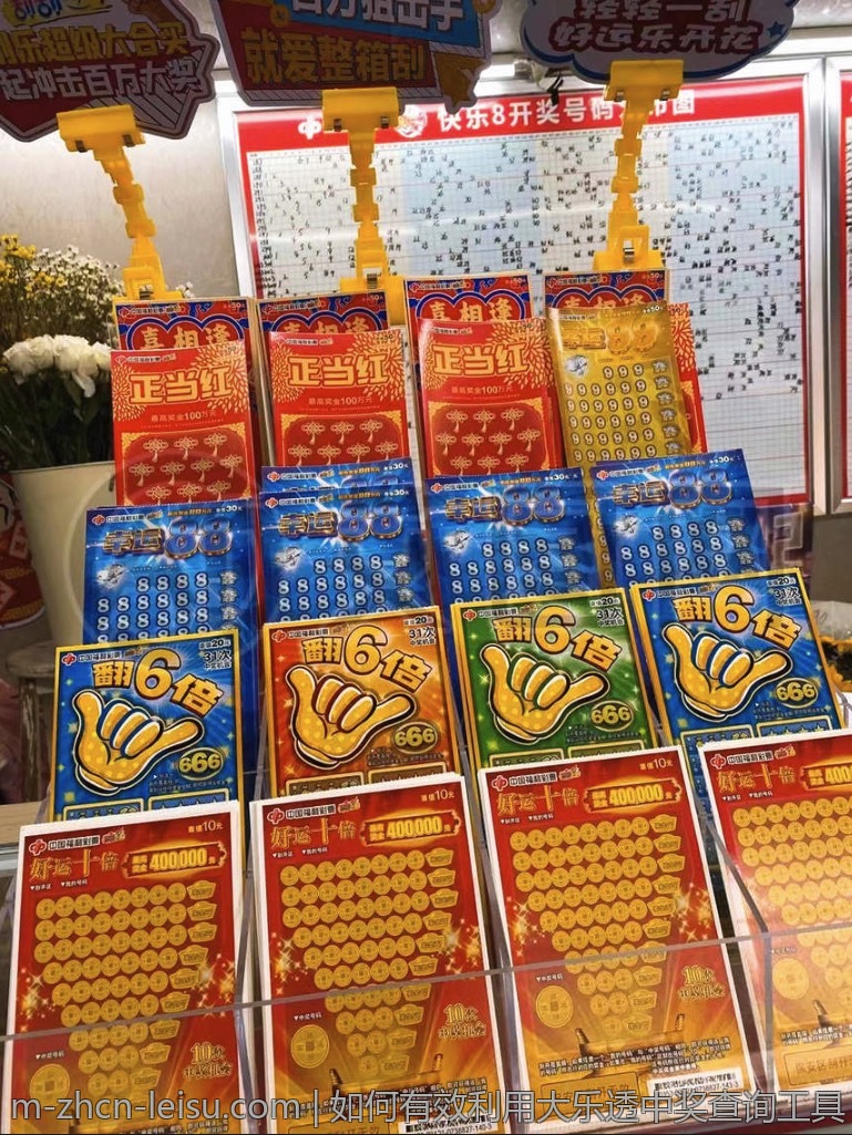 中国体育彩票官方网站中奖号码查询