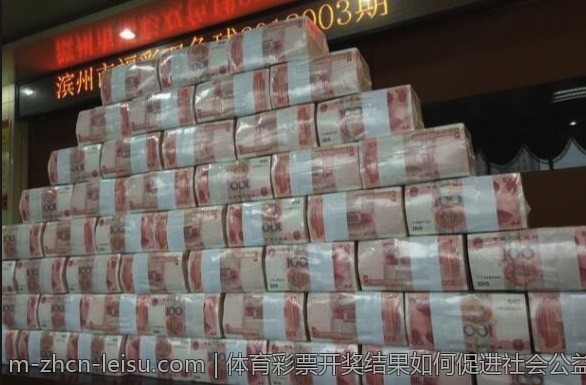 体育彩票开奖结果如何促进社会公益